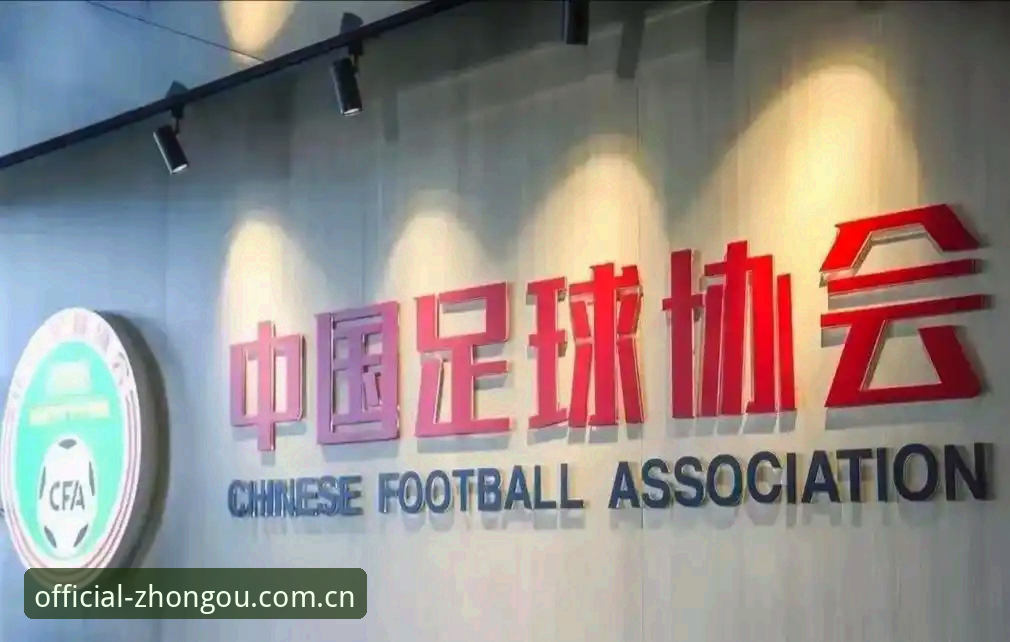 中欧体育平台iOS版 中欧体育平台解读中国足协第三批禁足名单——深度分析与操作教程